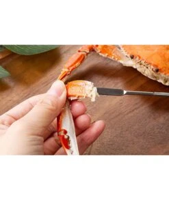 4 TENEDORES MARISCO ACERO INOX METALTEX 251040 -Bazar Casa Sole 4 tenedores marisco acero inox metaltex 251040 6