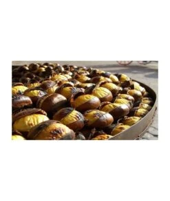 ASADOR CASTAÑAS 3 KG TAMBOR ACERO INOXIDABLE BALUJA -Bazar Casa Sole asador castanas 3 kg tambor acero inoxidable baluja 3