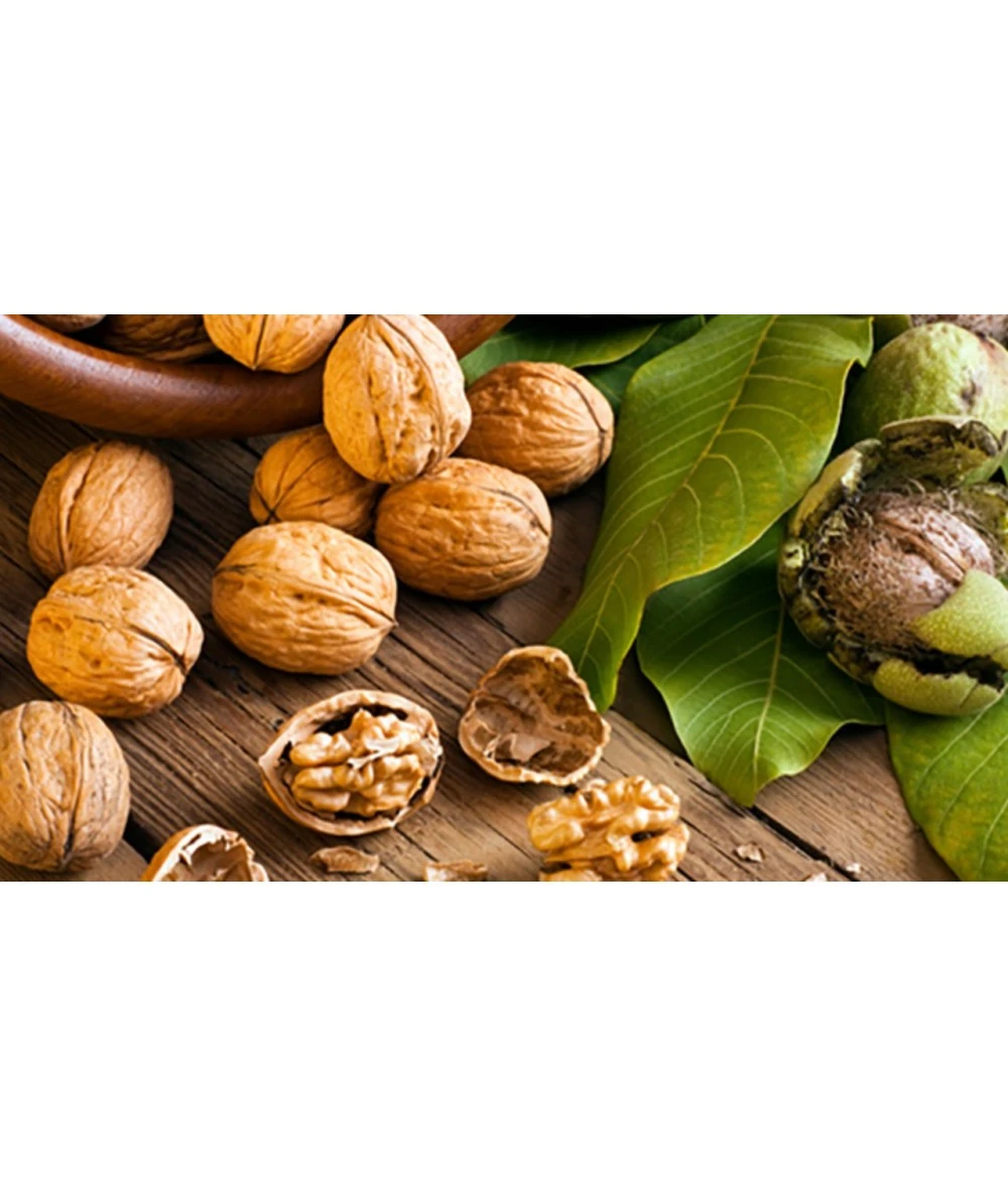 CASCANUECES INOX LUXE PUJADAS P615100 2 CASCANUECES INOX LUXE PUJADAS P615100 - Imagen 2