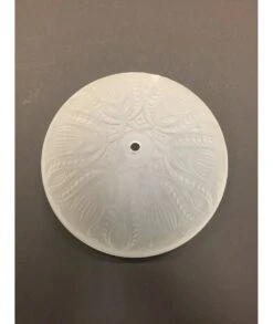 CRISTAL PLAFÓN TULIPANES 20CM