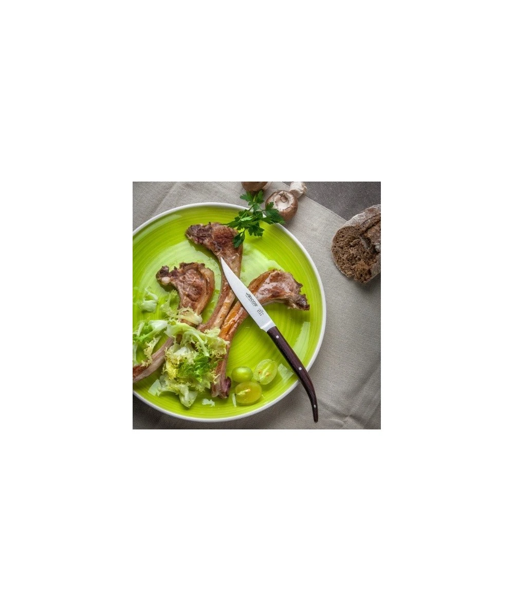 CUCHILLO CHULETERO ARCOS 373700 1 CUCHILLO CHULETERO ARCOS 373700