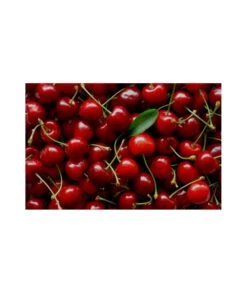 DESHUESADOR DE CEREZAS "LADY KIRSCH" METALTEX 7 DESHUESADOR DE CEREZAS "LADY KIRSCH" METALTEX -Bazar Casa Sole deshuesador de cerezas lady kirsch metaltex 1 2