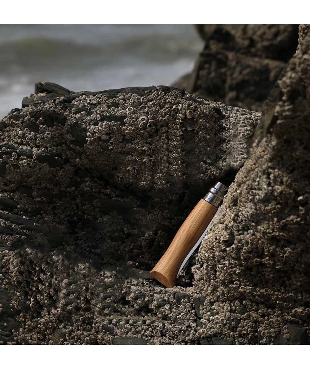 NAVAJA OPINEL OAK Nº 06 INOX 2 NAVAJA OPINEL OAK Nº 06 INOX - Imagen 2