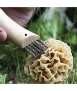 NAVAJA SETAS OPINEL Nº 08 -Bazar Casa Sole navaja setas opinel n 08 3