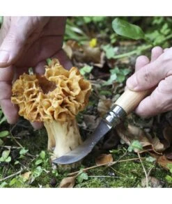 NAVAJA SETAS OPINEL Nº 08 -Bazar Casa Sole navaja setas opinel n 08 4