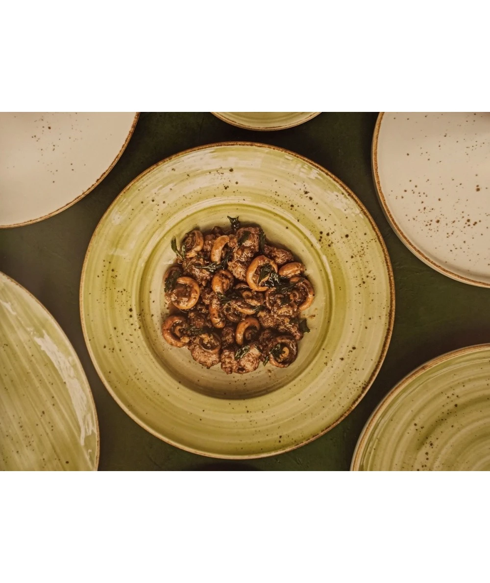 PLATO LLANO 27CM COLORS GREEN QUALITÄT 1002402 4 PLATO LLANO 27CM COLORS GREEN QUALITÄT 1002402 - Imagen 4