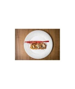 PLATO PAN 16CM NURA QUALITÄT 1001406 5 PLATO PAN 16CM NURA QUALITÄT 1001406 -Bazar Casa Sole plato pan 16cm nura qualitaet 1001406 2