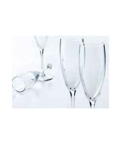 SET 12 COPAS CAVA CHAMPAGNE XAREL 17CL HOSTELVIA