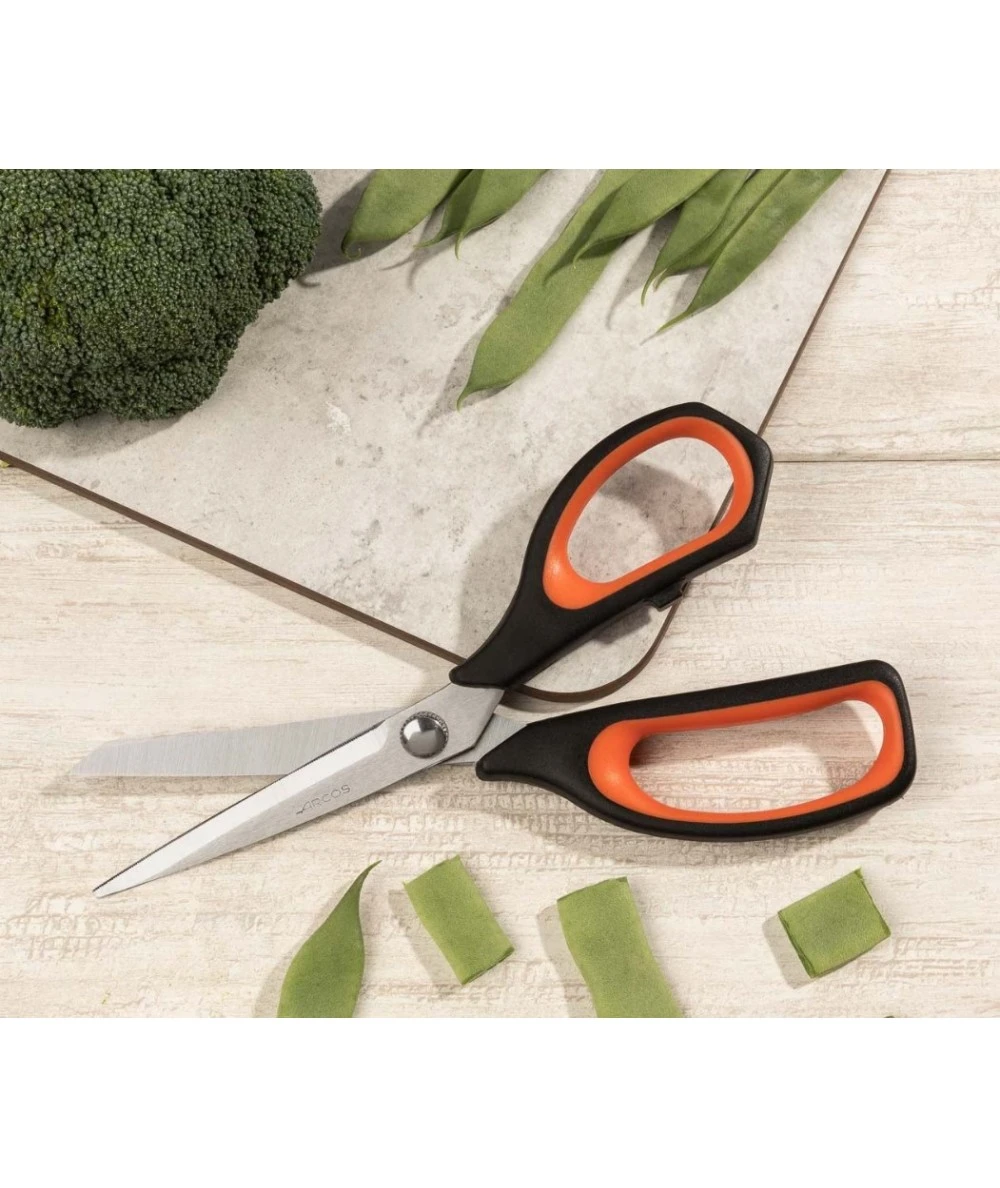 TIJERA ARCOS 185601 2 TIJERA ARCOS 185601 - Imagen 2