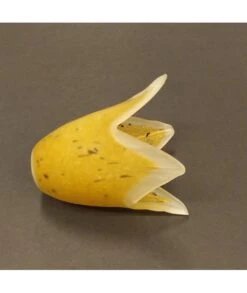 TULIPA CRISTAL 34261 -Bazar Casa Sole tulipa cristal 34261 2