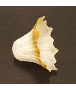 TULIPA CRISTAL LILA 29414 CRDGN -Bazar Casa Sole tulipa cristal lila 29414 crdgn e14 3