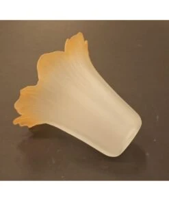 TULIPA CRISTAL NAPOLI 345.040 -Bazar Casa Sole tulipa cristal napoli 345040 7