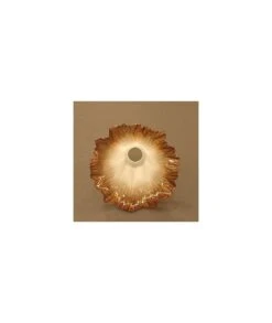 TULIPA CRISTAL NAPOLI 345.269 -Bazar Casa Sole tulipa cristal napoli 345269 3