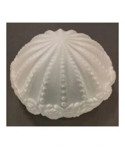 TULIPA CRISTAL ROSA 30 AC