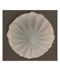 TULIPA CRISTAL ROSA 30 AC -Bazar Casa Sole tulipa cristal rosa 30 ac 3