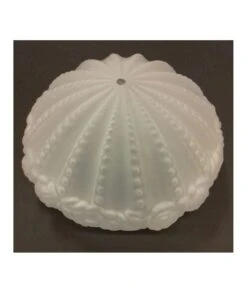 TULIPA CRISTAL ROSA 30 AC CON TALADRO