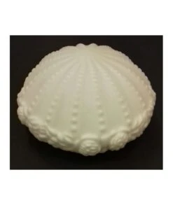 TULIPA CRISTAL ROSA 30 OM