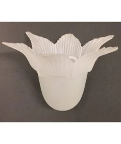 TULIPA CRISTAL TURCA 6 PUNTAS AC 1.5089.001