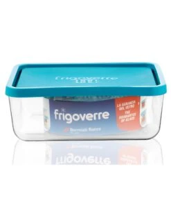 TUPPER FRIGOVERRE 26X21CM