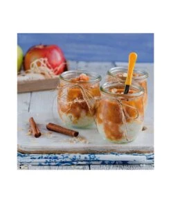 YOGURTERA DE VASO LACOR 69245 12 YOGURTERA DE VASO LACOR 69245 -Bazar Casa Sole yogurtera de vaso lacor 69245 3